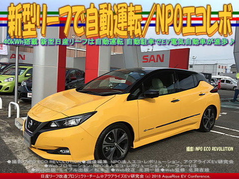 新型リーフで自動運転/NPOエコレボ画像