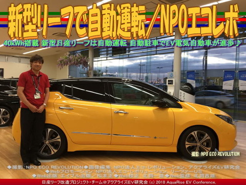 新型リーフで自動運転／NPOエコレボ画像