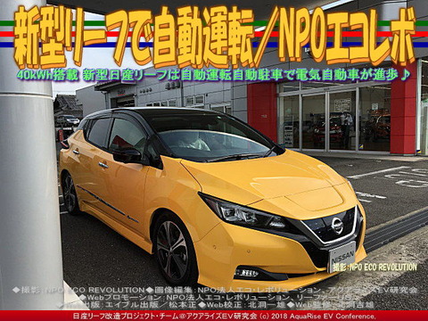 新型リーフで自動運転/NPOエコレボ画像