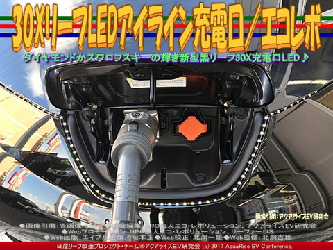 30XリーフLEDアイライン充電口／エコレボ(2)