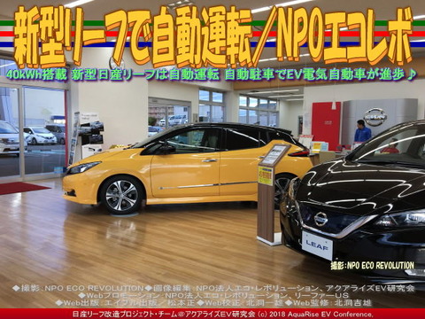 新型リーフで自動運転／NPOエコレボ画像