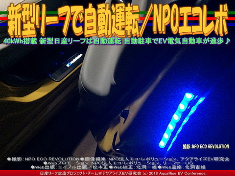 新型リーフで自動運転/NPOエコレボ画像