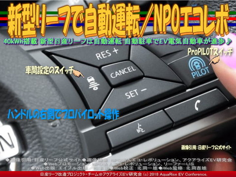 新型リーフで自動運転／NPOエコレボ画像
