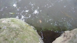 ±Â¤ò¿å¤ËÆþ¤ì¤Þ¤¹¡£