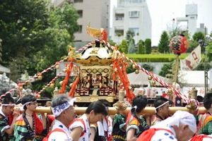 maturi-mikoshi