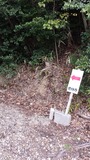 20160316_141755