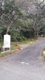 20160316_141350 (2)
