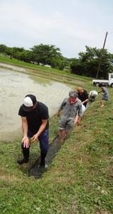 DSC08472 - コピー