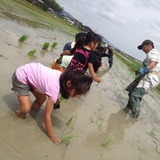 IMG_2252 - コピー