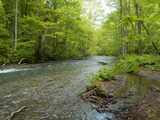 DSCN4618