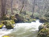 DSCF0001