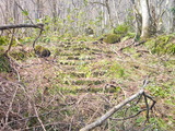 DSCF0003