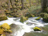 DSCF0002