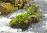 DSCF0010