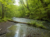 DSCN4619