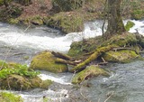DSCF0009