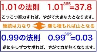 puffer (1)