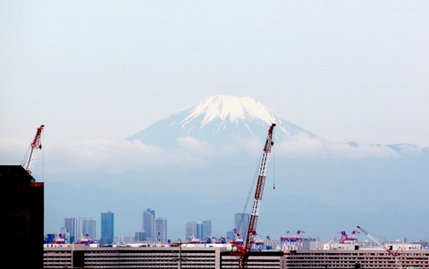 IMG_6904 (1)