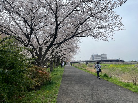 AFC333A9-DA1E-406C-B869-5A3B331092EC (1)