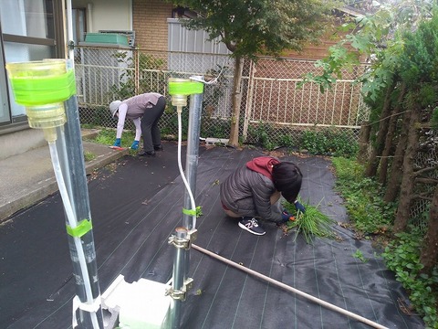 7556D29F-7BBD-4B4A-8518-B39B1D1B1355