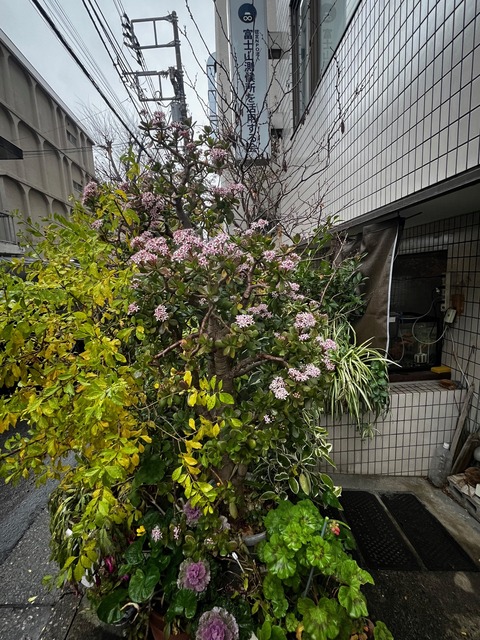 495640C2-F90A-4B29-866C-C1F8BB514512