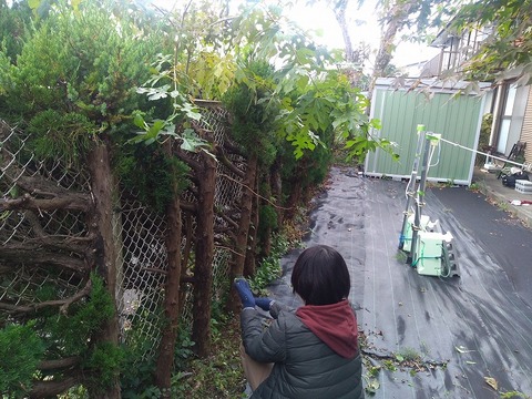 D0AB1796-5059-41F1-9735-BAE15F2509D6