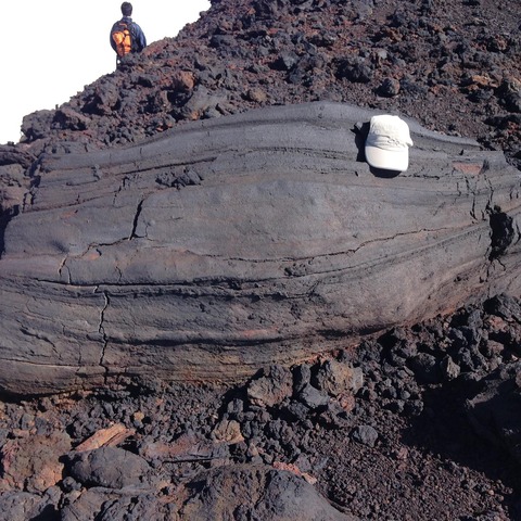 IMG_20170814_080828_261