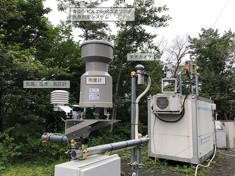 taro05