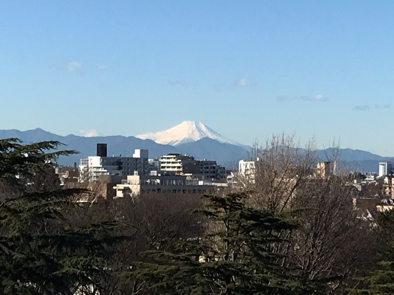 東京から富士山が見える日 60年代より年間100日も増加 太郎坊のそよ風