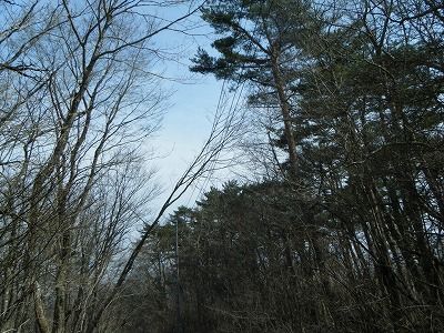 DSCF3719