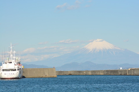 焼津港から望む富士山-櫻井理事撮影
