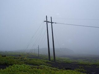e885400c.jpg