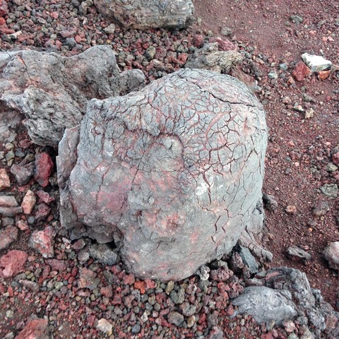 IMG_20170814_081030_105