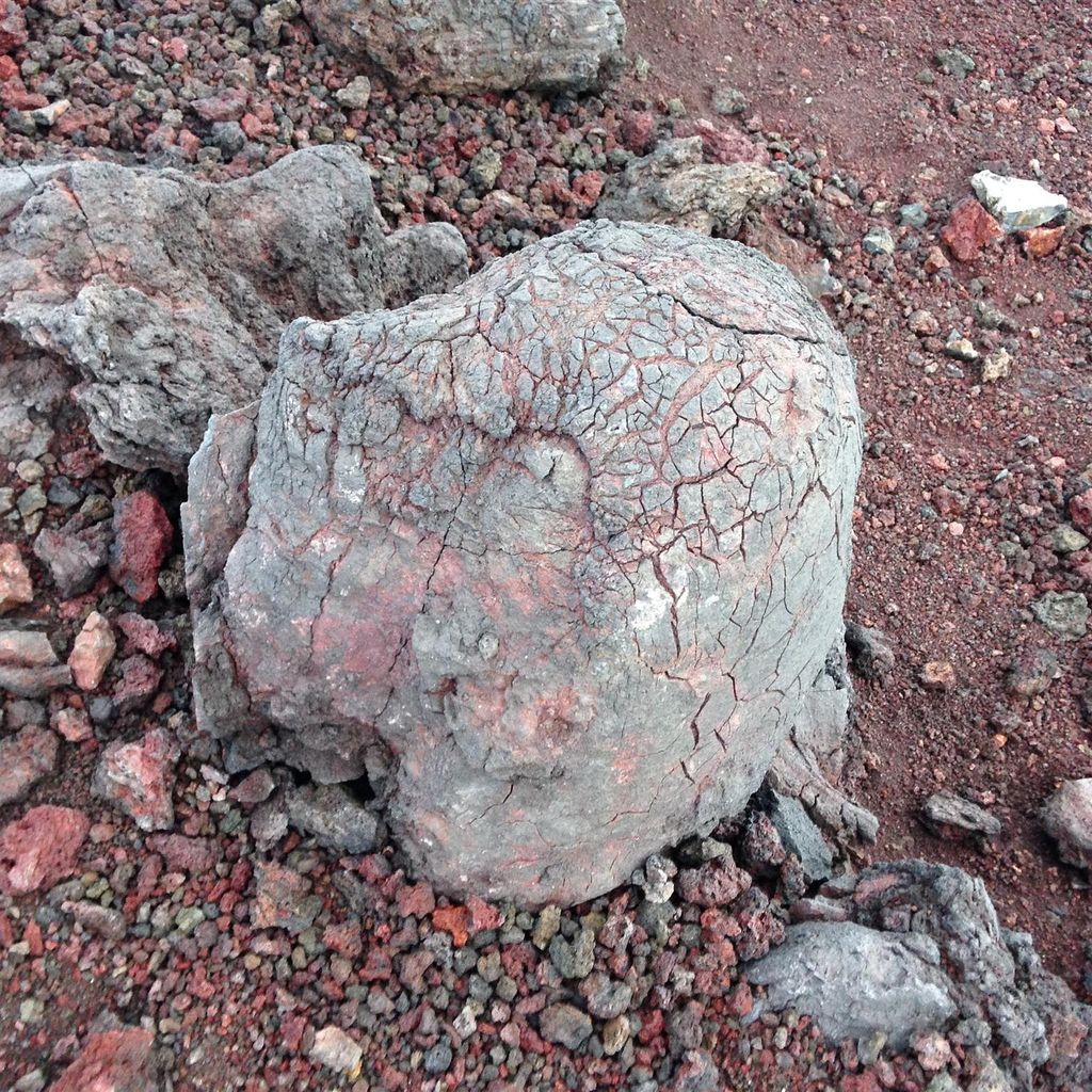 富士山の火山弾② 富士山の火山弾②