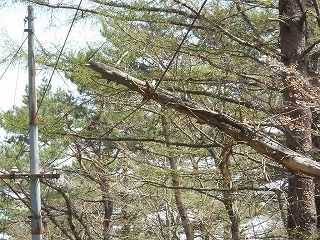 f705b893.jpg
