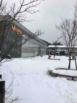 IMG_0190