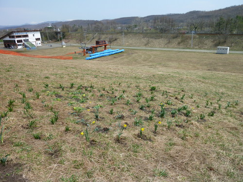 P1000506