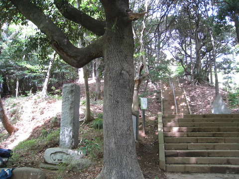 画像 325