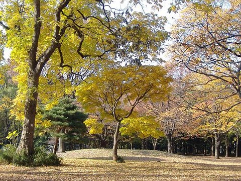 2_2006_1201_133713-DSCF0603[1]