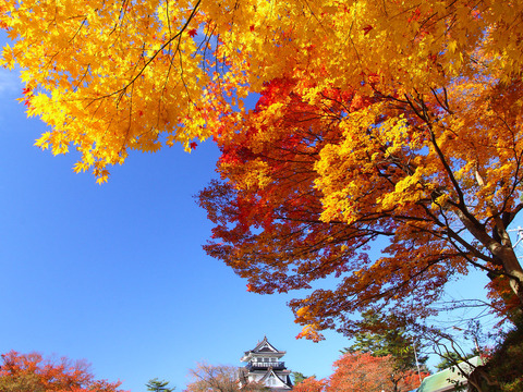 08yokotezyo_koyo3[1]