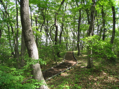 昔のハイキングコース2