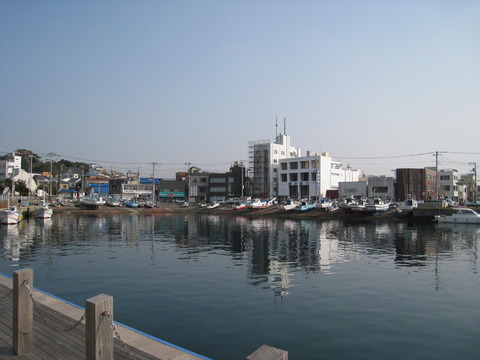 三浦三崎港3