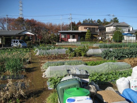 11_12_5.hatakegenkyos-[1]