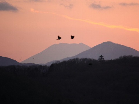 3e0efb42073e3a102d859b5d9b3710fb[1]