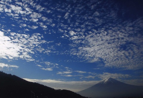 MzA5LTA3LTExMDQti-COcZdF[1]