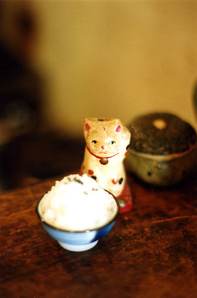 img_781ada7d7a7b1cf7731a1c914c5a8169