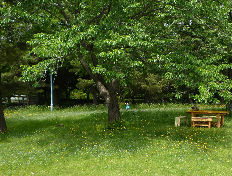 img_eb231a6047fb2b4ade9435d39f7d8cb9