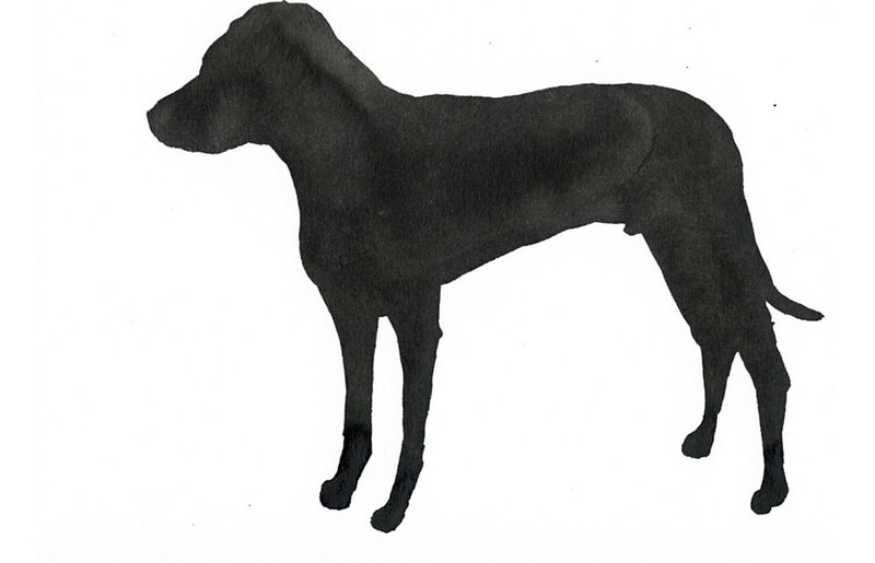 img_8299877283454f06a17ddf35624e56fb-1