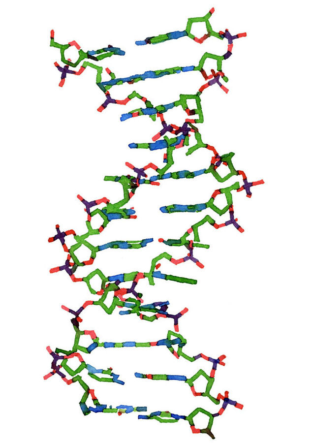 0cc47b17