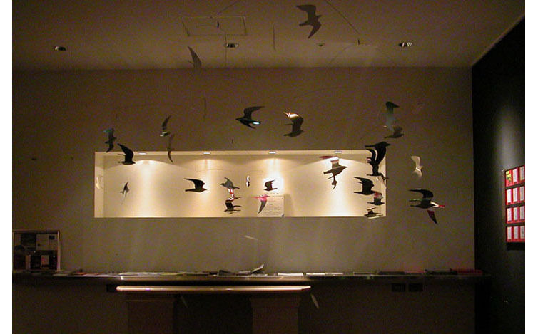 img_1418ef6e04293dcda1fab9f9a806f177